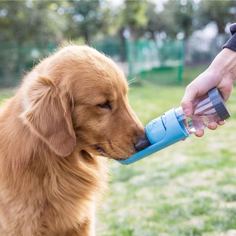 TEQ-ME Outdoor Portable Pet Water Bottle for Walking