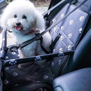 Dog Car Seat Carrier v