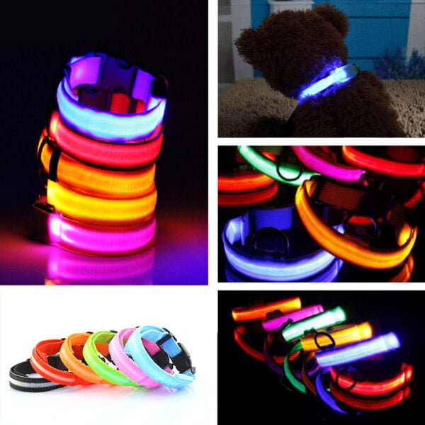 Premium Glow In The Dark LED Dog Safety Collar n