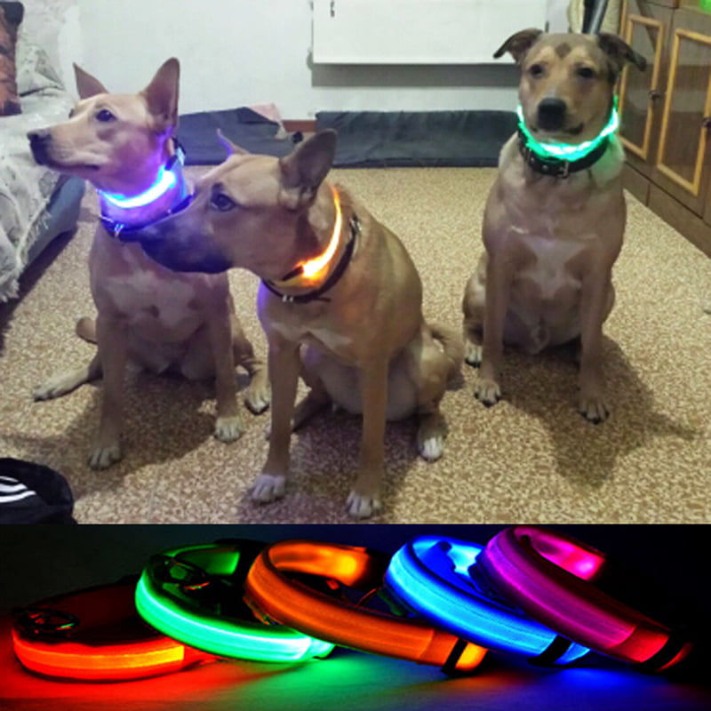 Premium Glow In The Dark LED Dog Safety Collar v