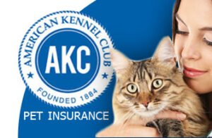 Pet Insurance Is Easy As AKC