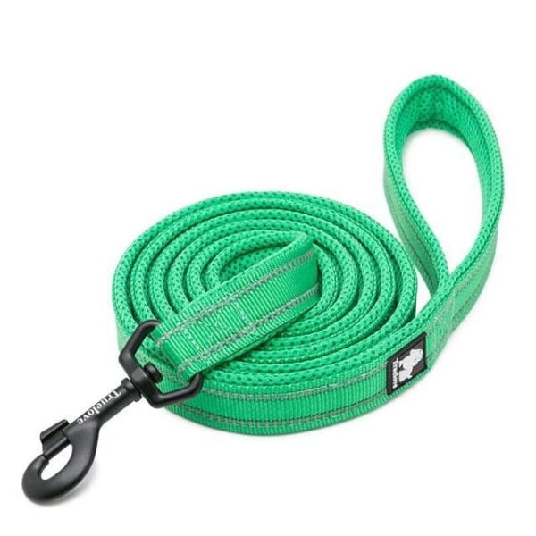 Type: Truelove Soft Padded Mesh Dog Leash 3M Reflective Nylon Dog Leads Dog Pet Leash 11 Color 110cm Length Walking Training Material: Mesh,Nylon, 3M Reflective Color: Black,Orange,Neon yellow,Blue,Fuchsia,Royal blue,Red,Grey,Brown,Grass green,Purple Feature: 1.Nylon webbing with 3M reflective material ensures Good Visibility and Safety at Night while Walking your Pet 2.Hook is made from a Lightweight Zinc-Alloy Material making this Leash Very Durable with a Large Loading Capacity and Tensile Strength for Larger Dogs 3.Wash label with size information can be wrote owner contact information,avoiding dogs'loss. 4.Wide Soft Mesh Padding and Ergonomic Design make this Dog Leash Extremely Comfortable for Both You and your Dog,does not cause wear on the dog's fur or skin. 5.PERFECT MATCH FOR TRUELOVE FRONT RANGE HARNESS - Made from the same design and bright stylish colors as the TRUELOVE Harness. Your Dog will be the Talk of the Neighborhood.