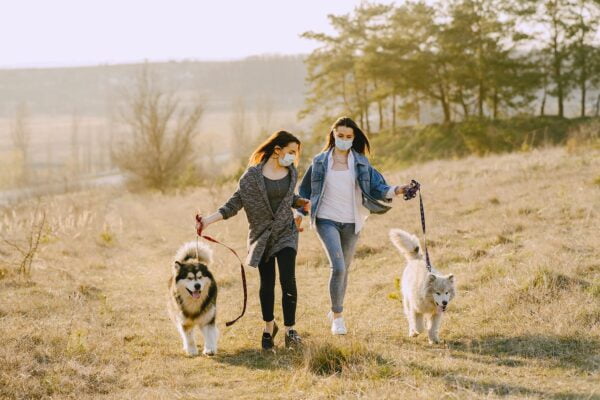 Points To Know Before Traveling With Your Pet