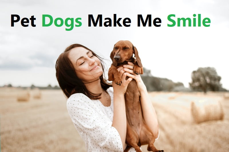 Pet Dogs Make Me Smile