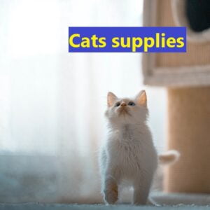Cats supplies