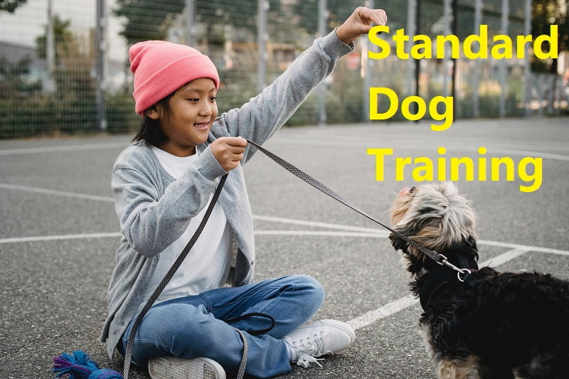 Standard Dog Training