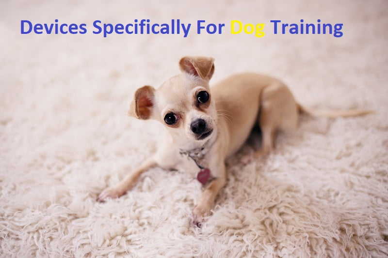 Devices Specifically For Dog Training