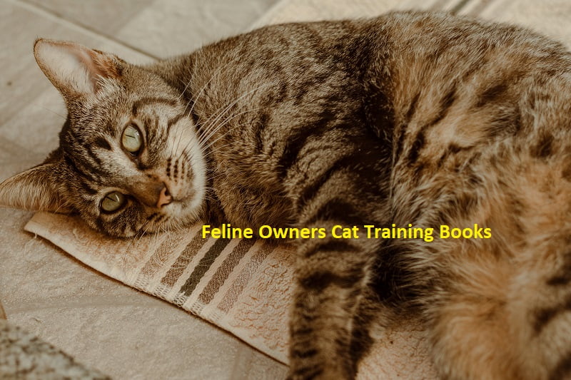 Feline Owners Cat Training Books