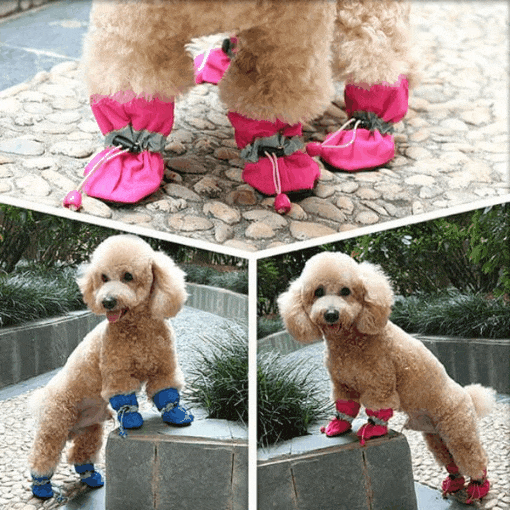 4-piece-pet-puppy-shoe-for-your-pet-is-non-slip-and-waterproof