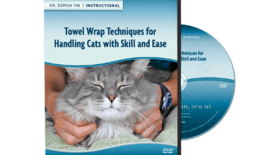 Pet cat training publications are a need for feline proprietors