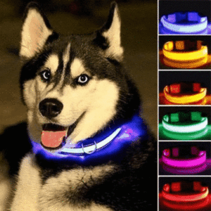LED flashing collar for pets