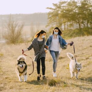 Points To Know Before Traveling With Your Pet