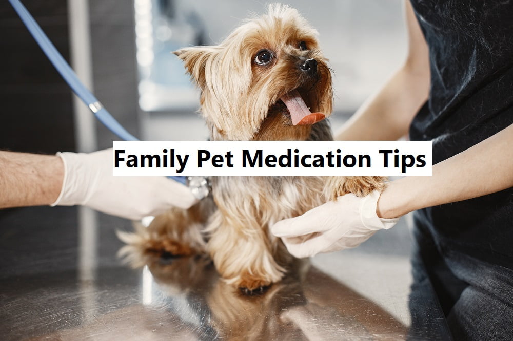 Family Pet Medication Tips