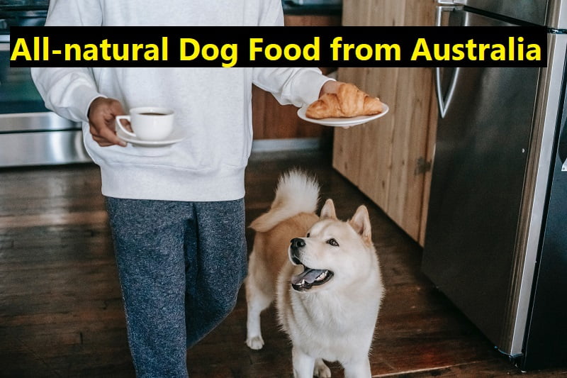 All-natural Dog Food from Australia