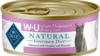 UTI With a Canned Cat Food Diet