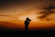 Photographing Birds