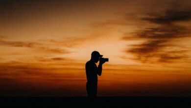 Photographing Birds