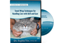 Pet cat training publications are a need for feline proprietors