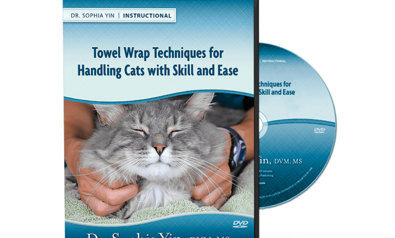 Pet cat training publications are a need for feline proprietors