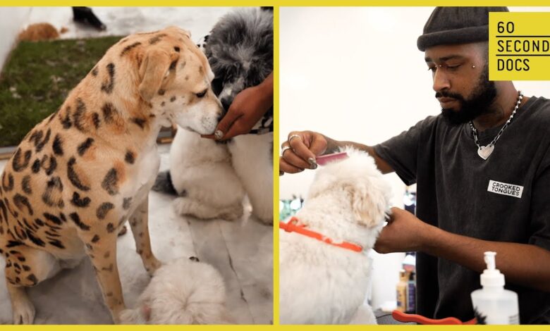 The Art Of Dog Grooming