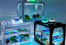 fish tank supplies